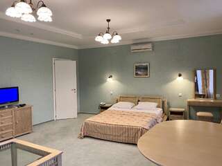 Гостиница Санаторий Корона Алтая Ая Номер-студио с кроватью размера -2